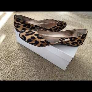 Steve Madden Leopard print ballerina shoes